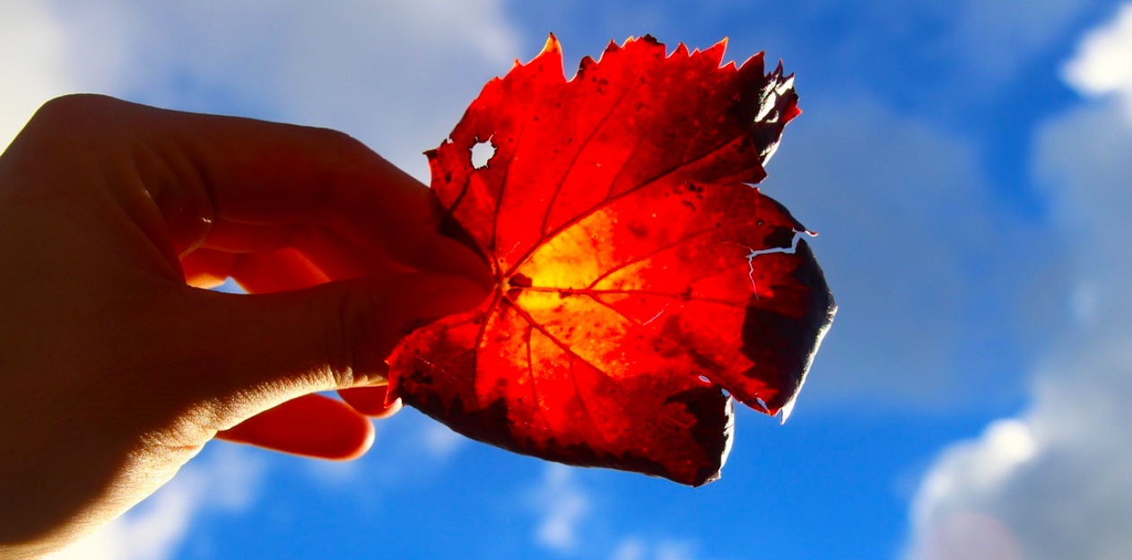Auch Mal Fünf Gerade Sein Lassen Bedeutung Mental Load - einfach mal Fünf gerade sein lassen - von Sabine Moser